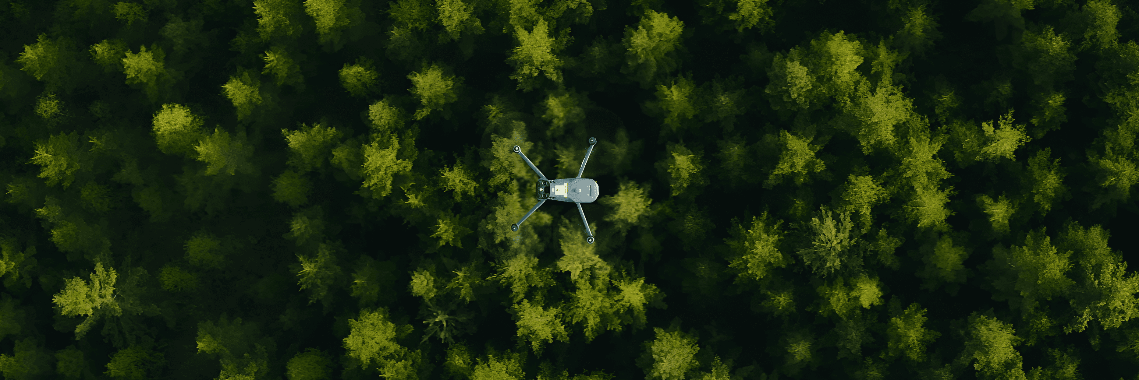 Drönare flyger över skog